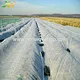 plant cover non woven